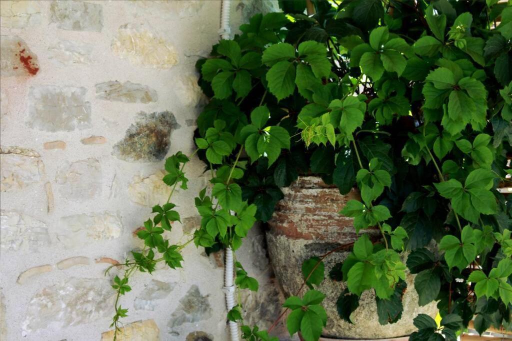 Traditional Stone House At Great Location Apartment Koroni  Exterior photo